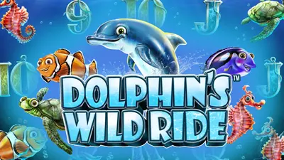 dolphins wild ride